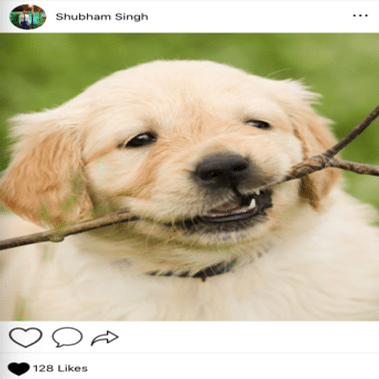 Instagram Clone